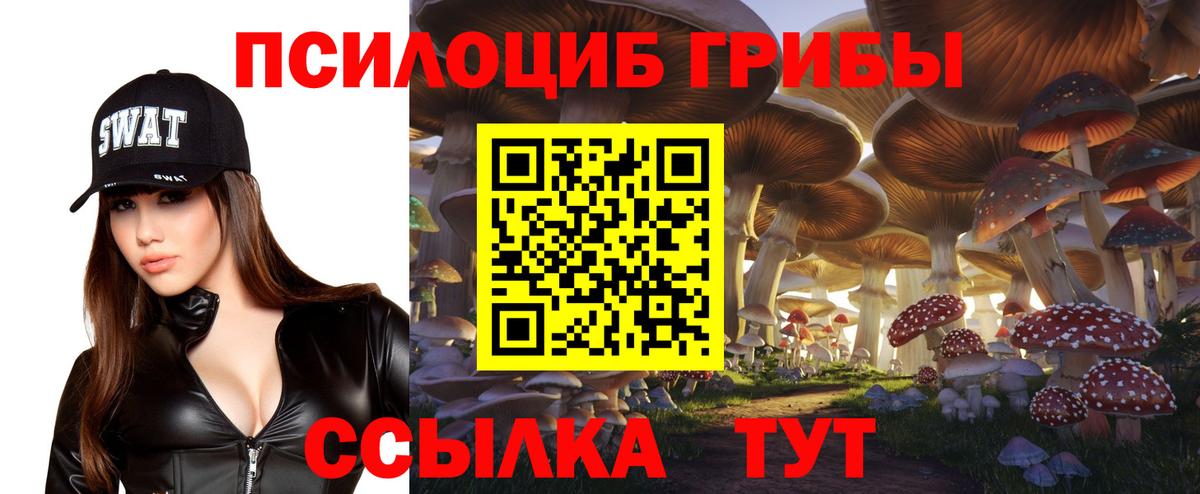 Псилоцибиновые грибы прущие грибы  Псилоцибиновые грибы прущие грибы  Похвистнево  Вход с VPN 